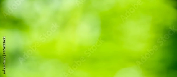 Obraz  Spring background - abstract green background banner