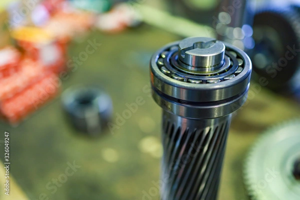 Obraz ball bearing assembly on gear shaft