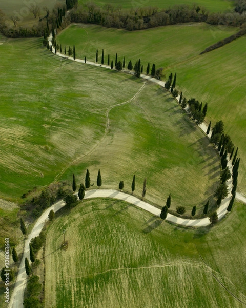 Obraz Curvy road in Tuscany, Italy
