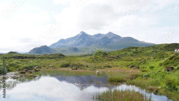 Obraz OLYMPUS DIGITAL CAMERA