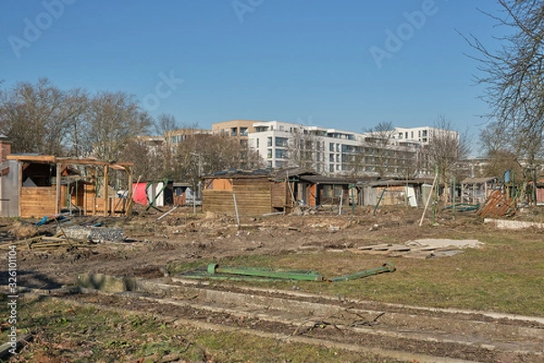 Obraz Destroyed gardens in front of new buildings under a blue sky