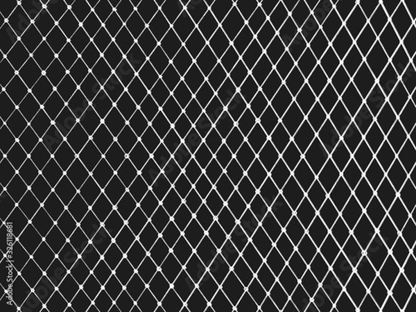 Fototapeta Net Illustration mesh for use as illustrations isolated.