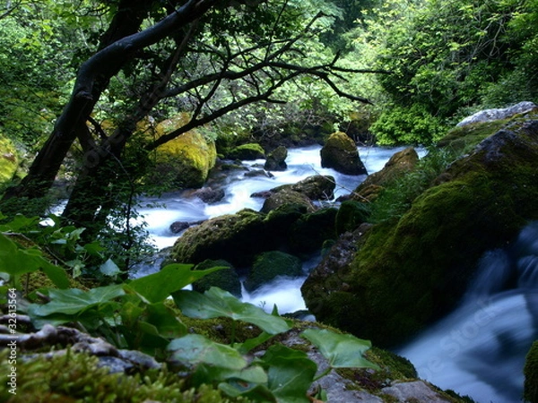 Obraz OLYMPUS DIGITAL CAMERA