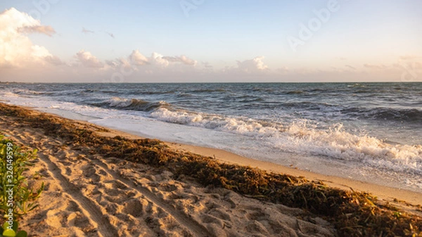 Fototapeta sunset on beach