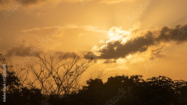 Obraz sunset over field