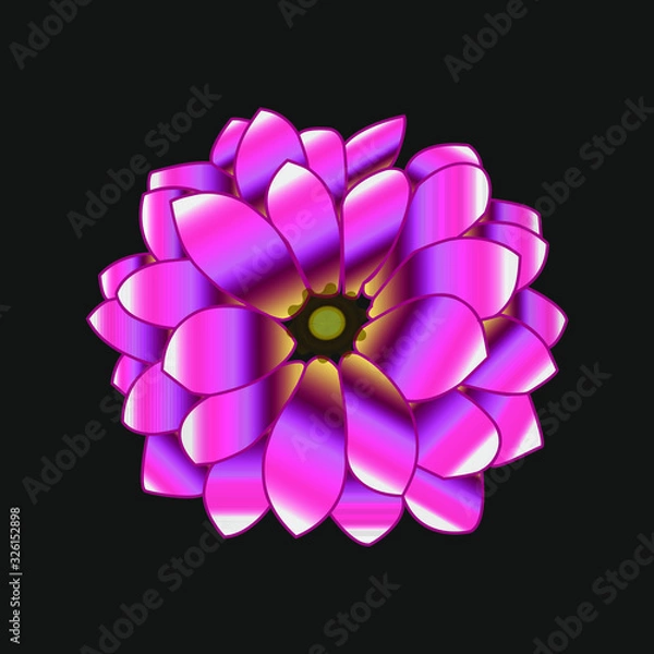 Obraz beautiful pink rare flower with a gradient