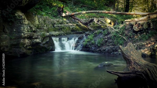 Obraz Waterfall in the Woods