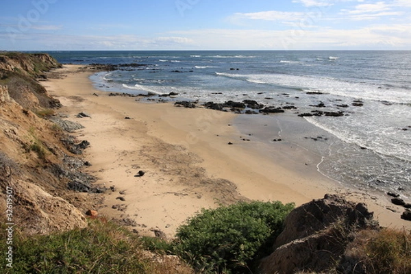 Obraz California beach