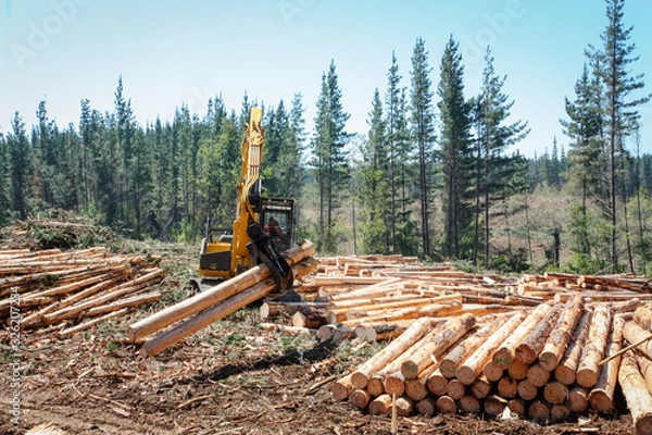 Fototapeta Logging Equipment
