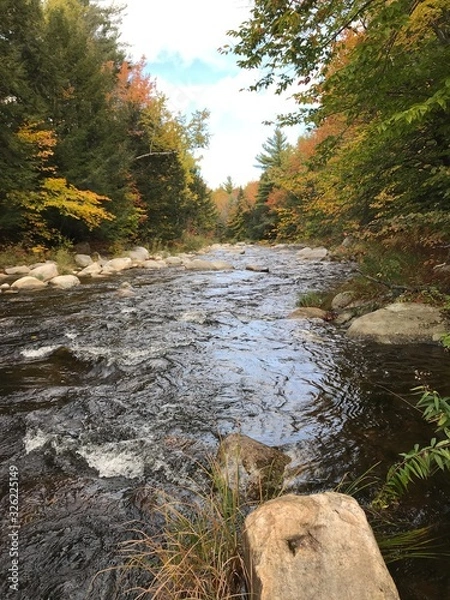 Obraz Mountain stream