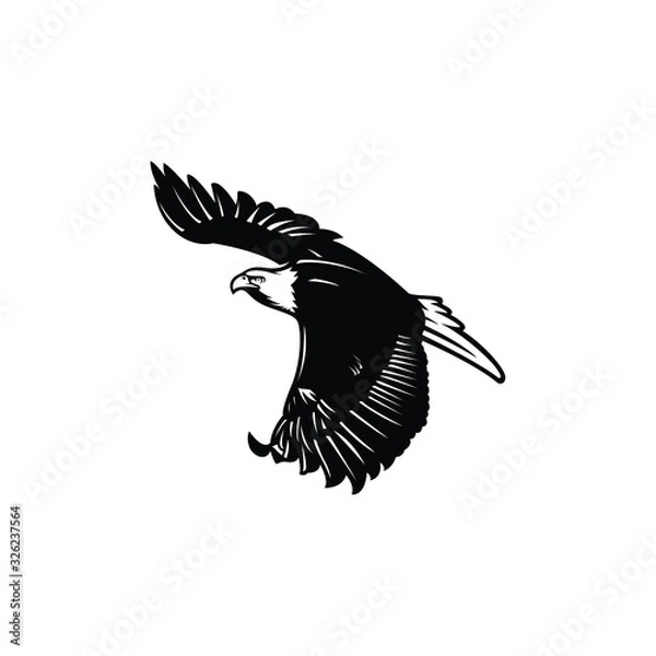 Obraz eagle silhouette vector