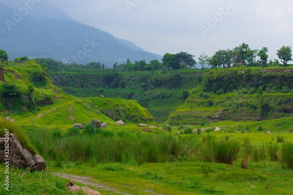 Obraz landscape with trees