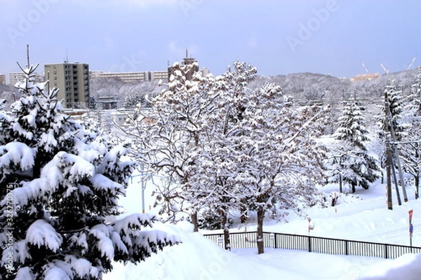 Fototapeta 雪の積もった札幌の公園の風景