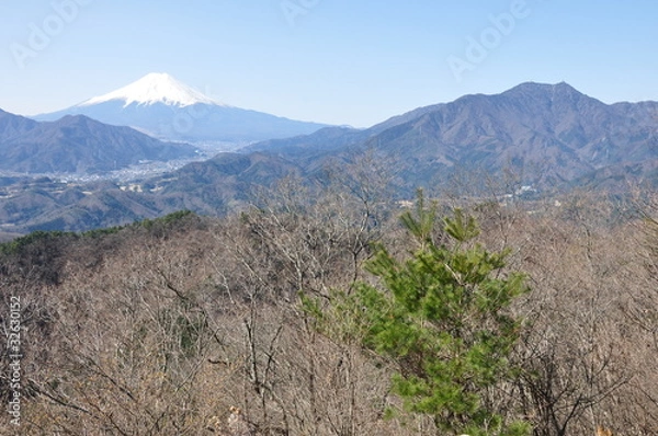 Fototapeta 高川山より眺める富士山