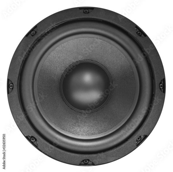 Obraz Acoustic speaker