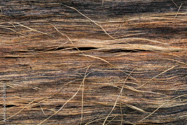 Fototapeta wooden texture background