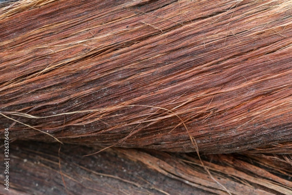 Obraz texture of wood