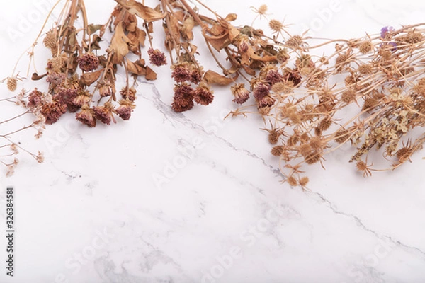 Obraz Dried flowers