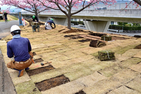 Fototapeta 芝生はり工事