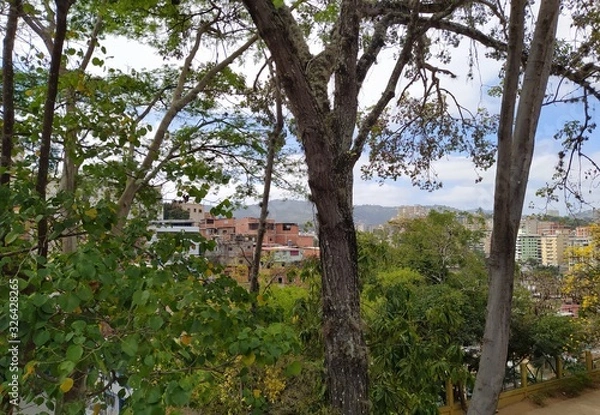 Fototapeta slums in trees
