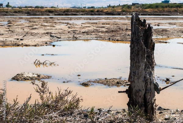 Fototapeta Old post in muddy bay