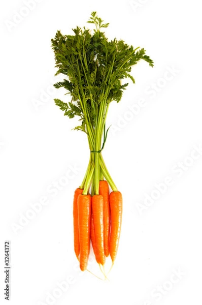 Fototapeta carots