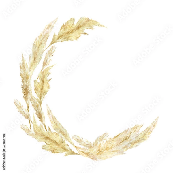 Obraz Akwarela dziki wieniec kwiatowy. Trawa Pampas do projektowania boho i nowoczesnego stylu logo. Panicle Cortaderia selloana Ameryka Południowa, pierzaste pióropusze kwiatowej głowy na zaproszenie na ślub i baby shower.