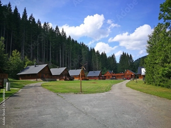 Obraz Cottages near the forest, surrounded by trees, in summer