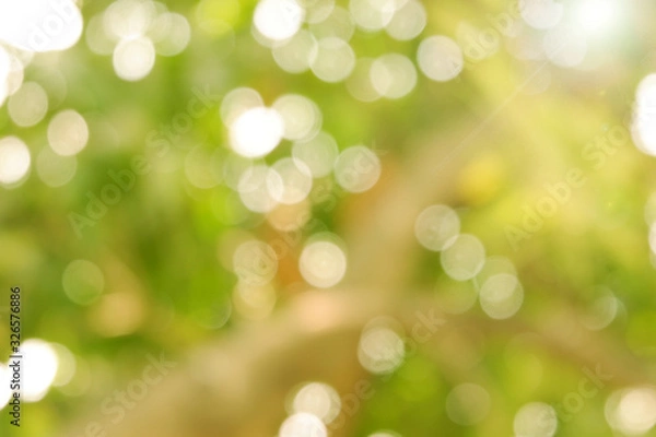 Obraz Blurred Green bokeh and sun light. Abstract natural backgrounds
