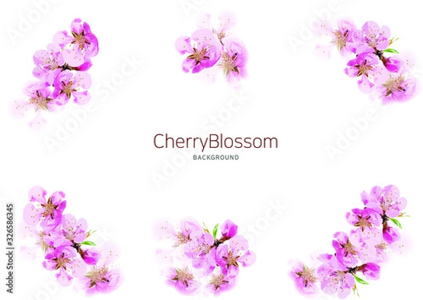 Fototapeta 벚꽃배경 