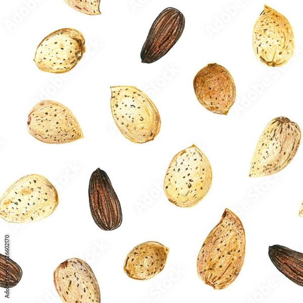Fototapeta Seamless pattern with almonds on a white background. Peeled nuts and whole nuts in shell. Drawing with colored pencils.