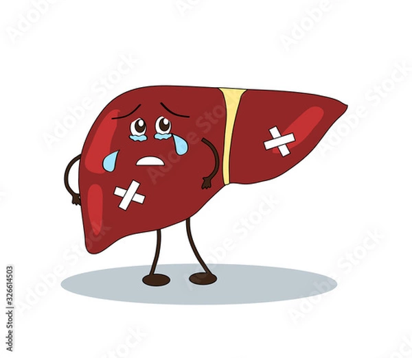 Fototapeta Sick liver on a white background. Cartoon. Vector illustration.