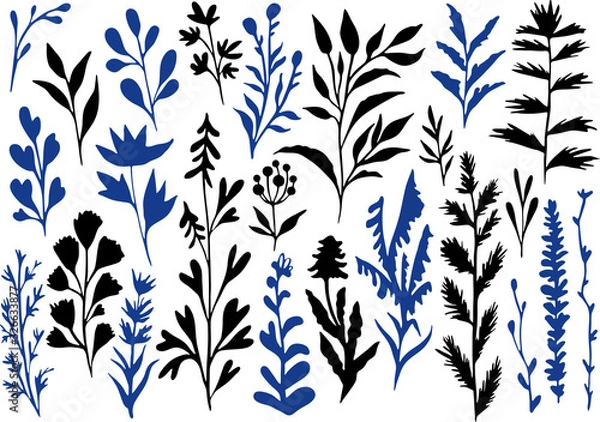 Obraz Flowers ink silhouettes illustration set of elements hand drawing