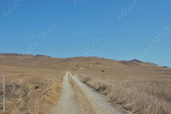 Fototapeta savannah road