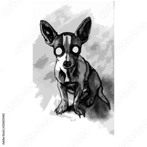 Fototapeta chiwawa, drawing, vector
