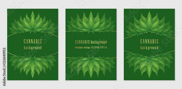 Obraz Vector set of cover design template with wonderful frame or border of cannabis leaves; Contrast green backgrounds with golden elements and green summer plants for products and printing with marijuana.