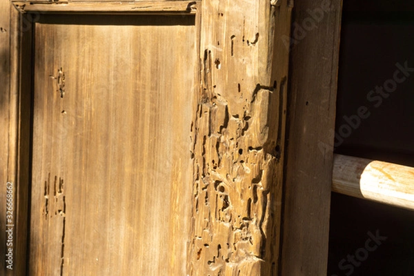 Fototapeta 虫食いした柱