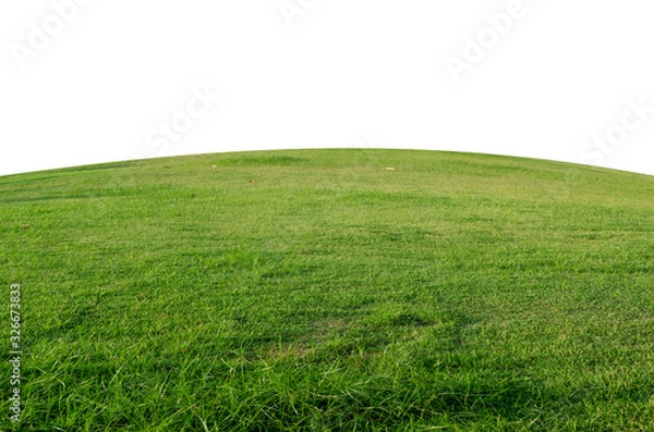 Fototapeta Green grass field isolated on white background with clipping path,Green grass meadow field from outdoor park isolated in white background