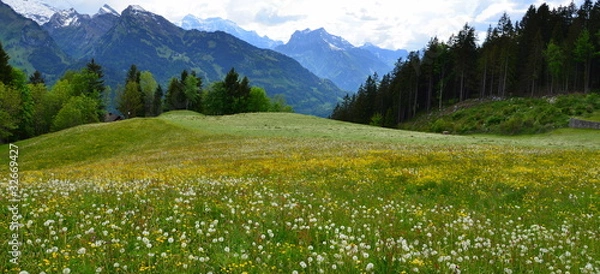 Obraz alpage....fenaison