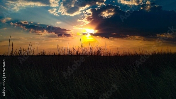Fototapeta general plan of sunset in the field with backlight and the image of the sun, sky, clouds and grass