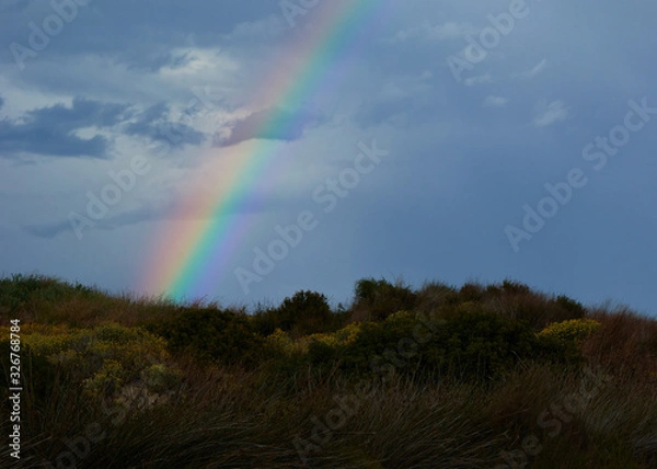 Fototapeta Rainbow appearing behind nature after the storm