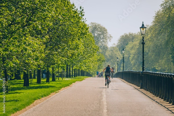 Fototapeta Unknown riders, shown from behind,  biking on a path in the park on a beautiful spring morning. Row of trees and lamp posts create leading lines in the photo. 