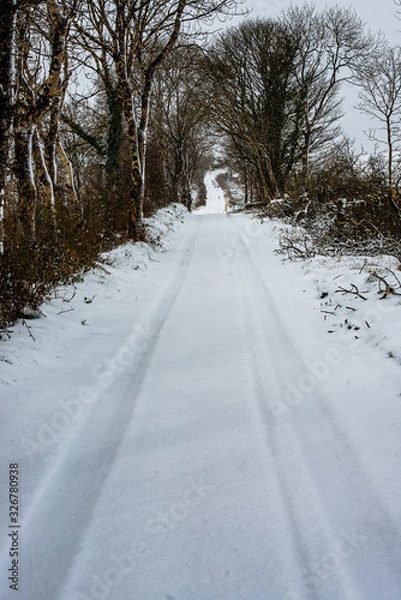 Obraz Tracks in the snow