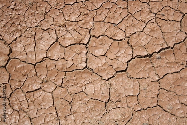 Obraz Cracked and dried mud