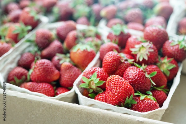 Fototapeta Red ripe juice fresh organic strawberry packed in eco friendly paper cardboard boxed at wholesale storage market for transportation and shipping export and import. Nutritious healthy berry diet food