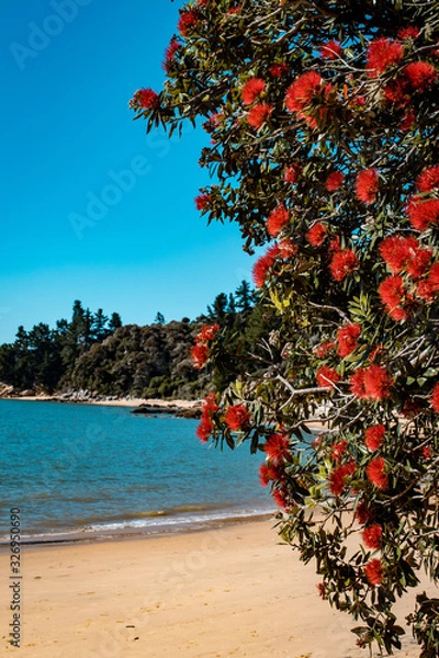 Obraz Beach and the sea