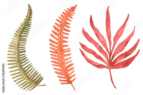 Fototapeta Set of hand drawn tropical leaves painted in watercolour on white background.  Yellow, green and red. Watercolour autumn and summer colourful illustration. Fern leaf, palm leaf isolated. High quality.