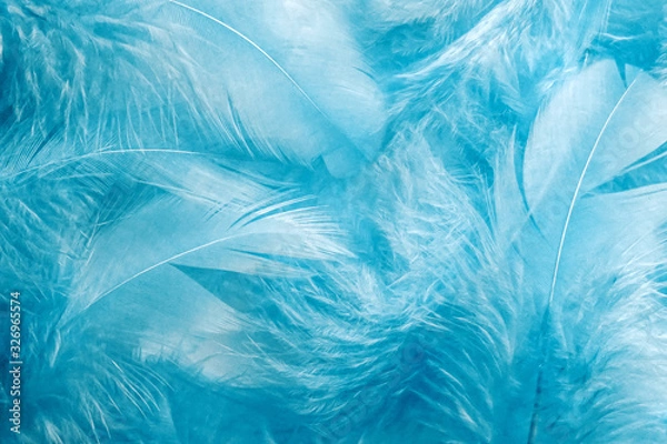 Obraz Abstract soft blue feather background. Closeup of turquoise fluffy feathers. Soft selective focus
