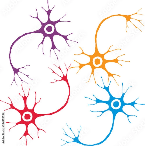 Fototapeta Vector image of silhouettes colorful human neurons cells