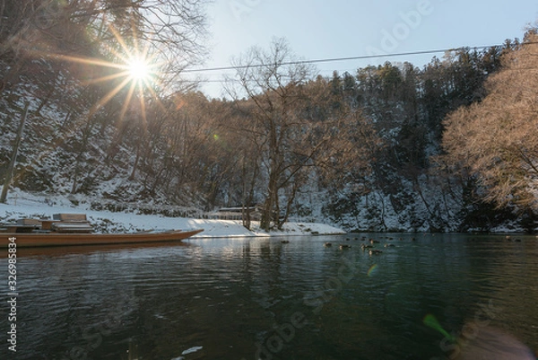 Obraz Geibikei george in winter